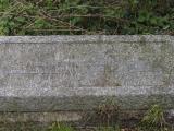 image of grave number 788705
